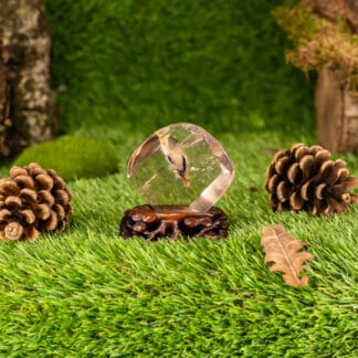 Patterned Crystal (Crystal Inclusion)