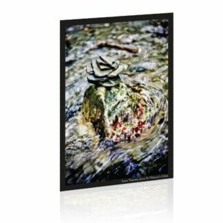 Large Art Postcard - Waterfall Fairy Red Rock